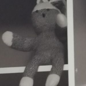 Meet your Posher, Knowlton